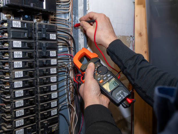 Best Local Electrician Companies  in Schoolcraft, MI